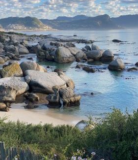 Simon's Town Cabin | Bosky Dell on Boulders Beach