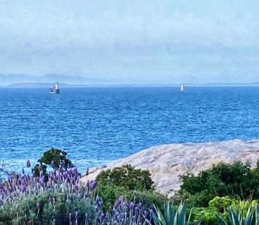 Simon's Town Cabin | Bosky Dell on Boulders Beach