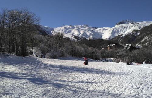 Pinto Apartment | Bosque Nevado