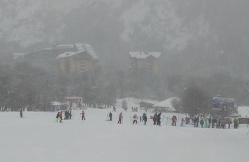 Pinto Apartment | Bosque Nevado