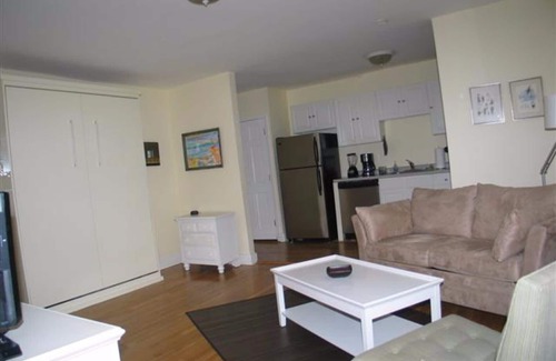 South End Apartment | Boston's South End, Copley area studio with a pull down queen size Murphey bed