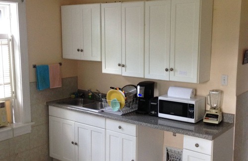 Tower Grove South Apartment | Botanical Garden & Foodie's Dream 950 Sq Ft of Mid Century Swank in St. Louis