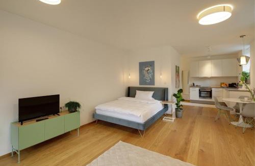 Freiburg im Breisgau Apartment | Boutique Apartments Freiburg - Elsa