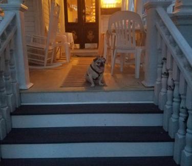 North End House | Boutique Dog Friendly Hotel Ocean City Mansion