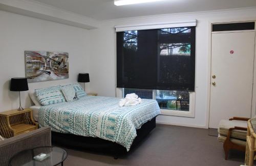 Box Hill South Apartment | Box Hill Studio Apartment 2