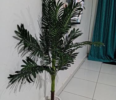 Bungoma Apartment | BR Homes Bungoma