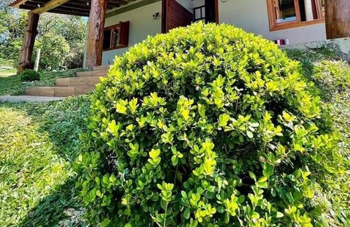 Jurere Internacional House | Casa Aconchegante em Jurerê