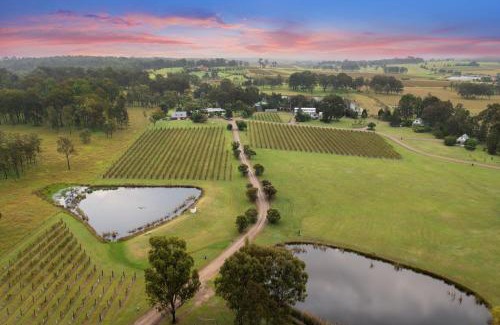 Rothbury Villa | Bracken Ridge Vineyard