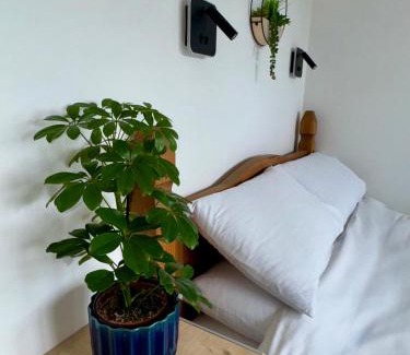 Inverness Apartment | Brae Cabin