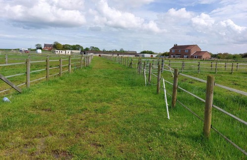 Winestead Other | Braemar Equestrian, East Riding of Yorkshire