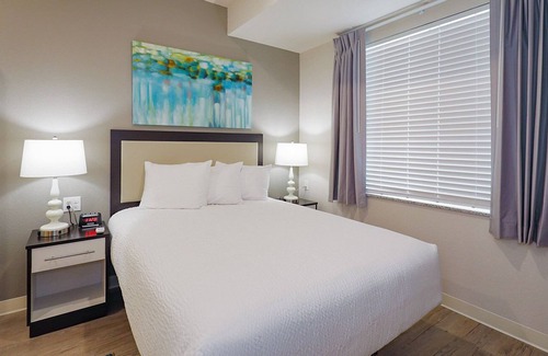 Plymouth Apartment | Brand New 1 Bedroom 1 Bath in Great Neighborhood
