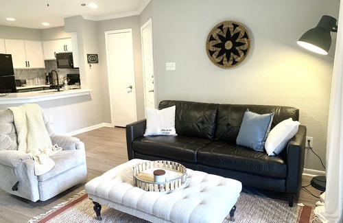 Astrodome Apartment | Brand New 1BR in the heart of Houston Med Center