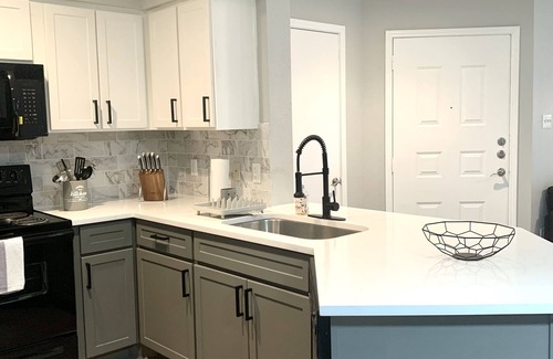 Astrodome Apartment | Brand New 1BR in the heart of Houston Med Center