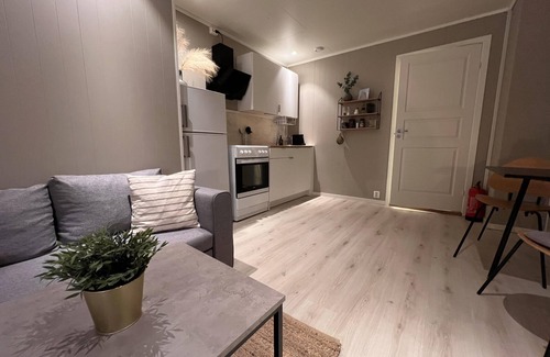 Bodo Apartment | Brand new and private studio apartment!