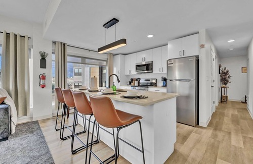 University Circle Apartment | Brand New Luxe Suite close to CLE Clinic, University Circle, Stadiums & Downtown