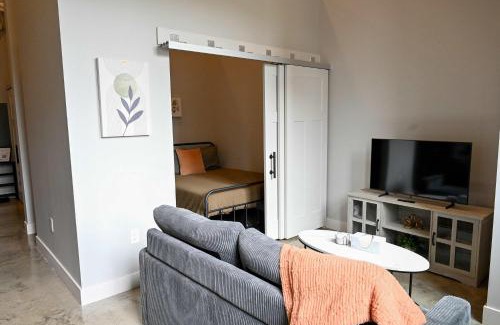 Historic Southwest Apartment | Brand New Urban Loft Free Parking Close To Mayo