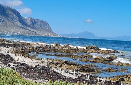 Betty's Bay House | Brandys beach house bettys bay