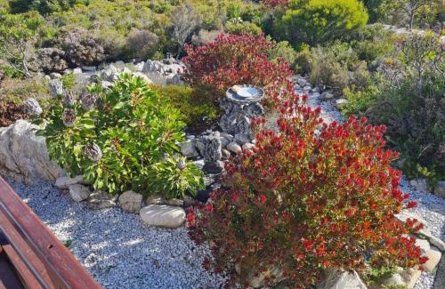 Betty's Bay House | Brandys beach house bettys bay