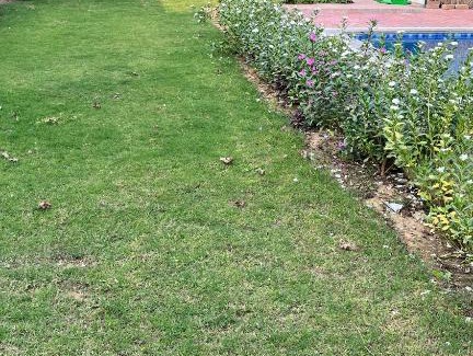 Gurugram Resort | Brasa farm