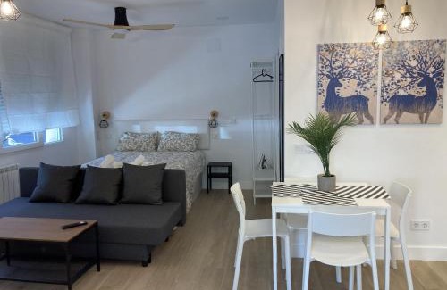 Almenara Apartment | Bravo Murillo Apartments