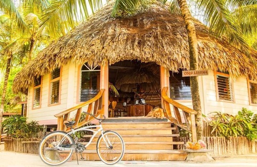 Thatch Caye Resort | Breezy Oceanfront Cabana w/Walk-In Shower & Private Rooftop Deck