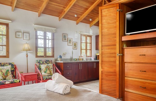 Ojochal Apartment | Breezy tropical casita on gated estate with lanai & AC - seasonal stays welcome