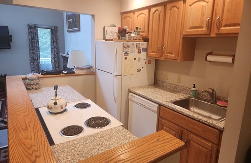 Bretton Woods House | Bretton Woods slopeside condo - comfortable and close with room to spread out!