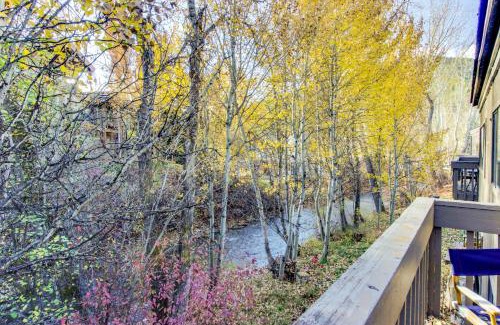 Ketchum Apartment | Bridgepoint Condo on Trail Creek