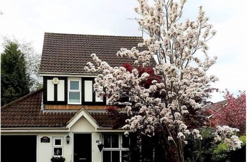 Watford House | Bright, airy room commuting distance to London 1 bedroom and 1 bathroom only