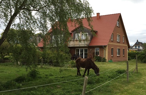 Timmendorf Apartment | Bright and friendly Apartment, build 2007 with verdancy view