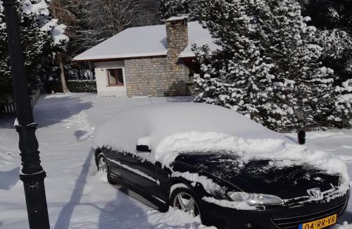 Randogne Ski Chalet | Bright Chalet with Terrace