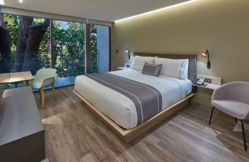 Providencia Hotel | Bright & Modern Hotel Room in Guadalajara – Perfect Central Location