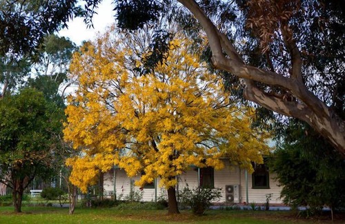 Moama House | Bright on the Murray