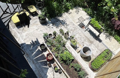 East Williamsburg House | Bright & Spacious Garden Apartment with workspace in Vibrant Bushwick + Parking!