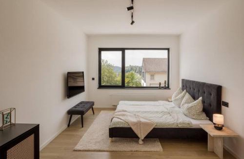 Gerolstein Apartment | Bright Suite I Sauna I TV I Kitchen