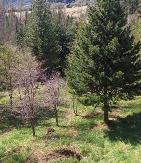 Coyhaique Apartment | Brisas del Salto