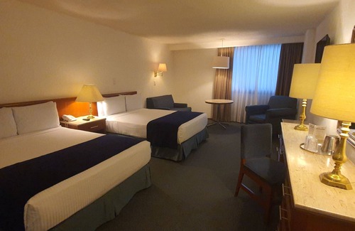Colonia Cuauhtemoc Hotel | Bristol Hotel