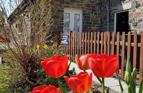 Builth Wells House | Bronwye