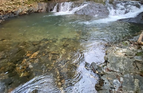 Pine Ridge RV Rental | Brookside RV Retreat Site #5 Big Fork Creek Near Wolf Pen Gap