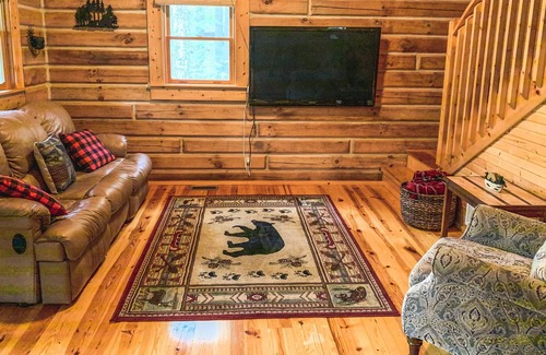 Birdseye Cabin | Brown Bear Cabin w/ wifi, free park pass & HOT TUB!