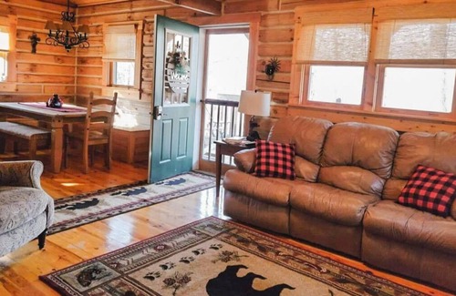 Birdseye Cabin | Brown Bear Cabin w/ wifi, free park pass & HOT TUB!