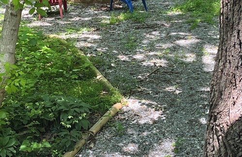 Cadiz House | Brown House in the Woods - Barkley Lake Area