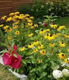 Bad Radkersburg Apartment | Brunnenpark Ruhepol