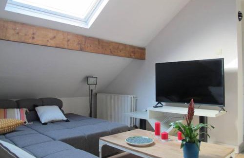 Vossegat-Roosendaal Apartment | Brussels Downtown