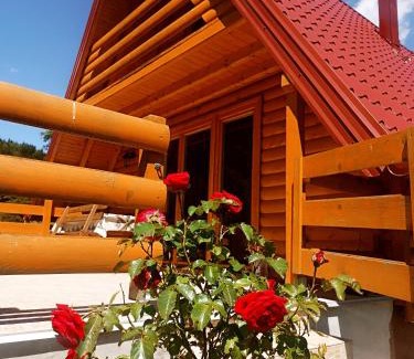 East Sarajevo House | Brvnara Jahorinka
