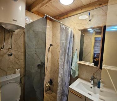 Kraljevo House | Brvnara
