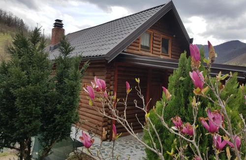 Konjic House | Brvnara - Winter house