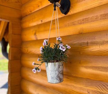 Zdrelo House | Brvnare MADERA Banja Ždrelo