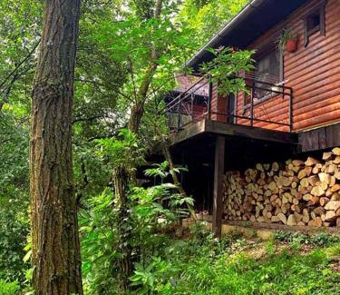 Vrdnik Apartment | Brvnare - Ranč Platan