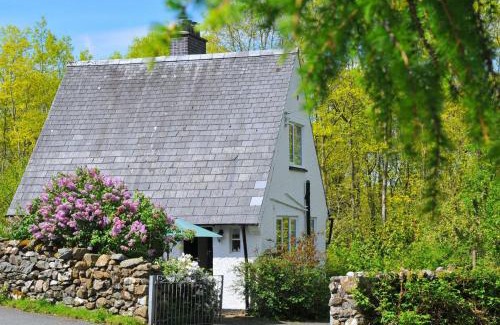 Dolgellau House | Bryn Araul